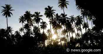 Quake hits Vanuatu, tsunami alert canceled - Bay Post-Moruya Examiner