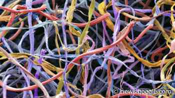 Xeros, University of Surrey partner to upcycle the microfibres ... - Apparel Resources