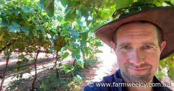 Industry is ripe for growth