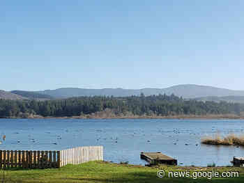 Devils Lake grass roots request to bring back carp - Lincoln City Homepage