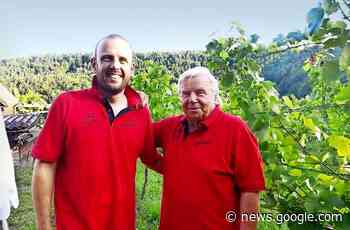 Weinanbau in Leonberg: Der Winzer ist auch im Winter gefragt - Stuttgarter Zeitung