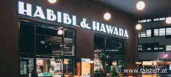 Millionenpleite: »Habibi &amp; Hawara« ist insolvent