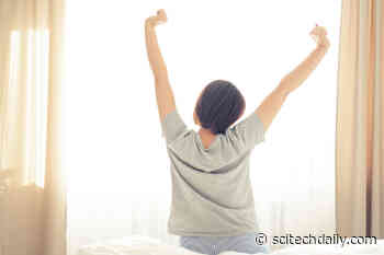 Berkeley Scientists Discover Secret to Waking Up Alert and Refreshed