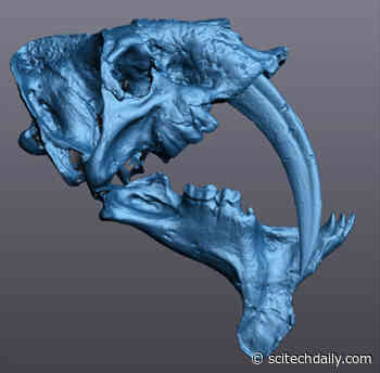 Fang-Tastic Findings: Study Unveils the Science Behind the Bite of Saber-Toothed Carnivores