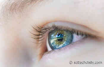 Unlocking the Secrets of the Gaze: What Our Eyes Reveal About Us