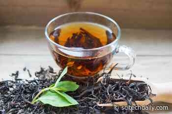 Even More Beneficial Than We Thought: How Drinking Black Tea May Improve Your Long-Term Health