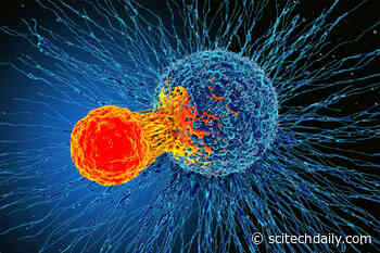 How Artificial Intelligence Found the Words To Kill Cancer Cells