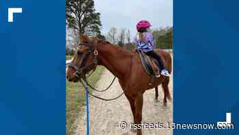MAKING A MARK: Virginia Beach nonprofit offers horseback riding therapy to people with special needs