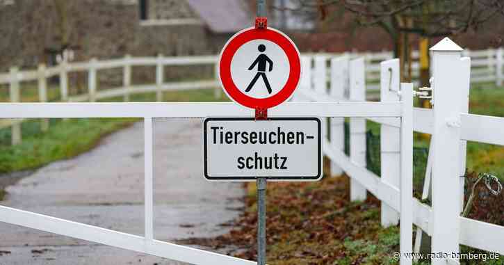 Weiterer Fall von Vogelgrippe im Landkreis Rosenheim