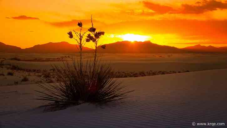 What’s happening around New Mexico Jan. 20 – Jan. 26