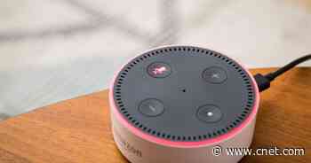 The Best Ways to Use Your Amazon Alexa Device in Your Bedroom     - CNET