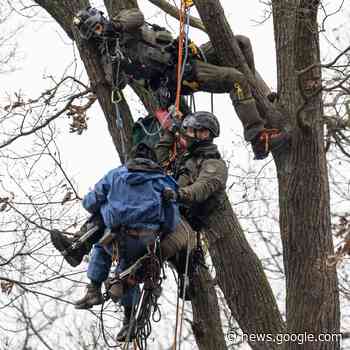 Räumung des Fechenheimer Waldes geht weiter - radioeuskirchen.de