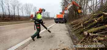 Hakhoutbeheer langs E19 - Stad Mechelen