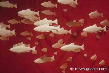 North Island College Artist Talk explores globalization, grief and ... - Comox Valley Record