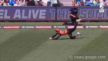 Bancroft claims yet another spectacular boundary-line grab - cricket.com.au