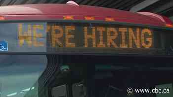 Calgary Transit aims to hire 800 drivers before year's end