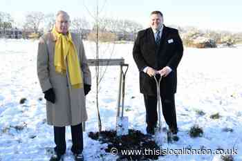 Duke of Gloucester plants Wanstead Flats Queen's Green Canopy trees