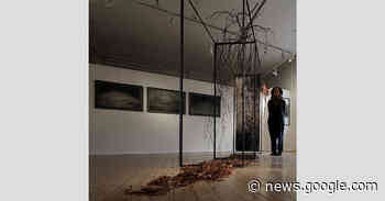 Alexandra Vassilikian stellt in Schwabmünchen und Augsburg aus - Siebenbürgische Zeitung