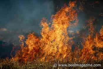 Vilsack announces $490 million for wildfire prevention