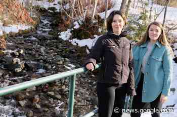 Steep creeks pose flood danger for Nelson, new report says - Nelson Star