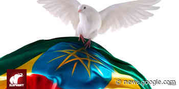 MEHARI TADDELE MARU - As a Tigrayan, I Choose Peace over ... - The Elephant