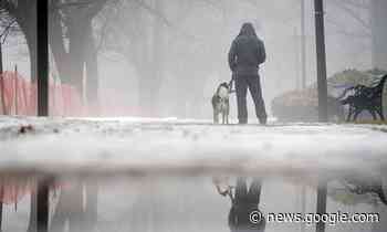 'Near zero visibility': Fog advisory for Innisfil, New Tecumseth and ... - simcoe.com