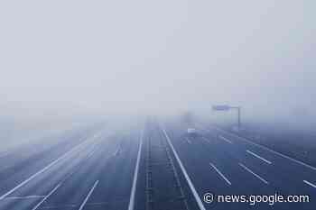 Fog advisory in effect in Mississauga, Brampton, Hamilton and ... - insauga.com