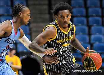 Brampton Honey Badgers eliminated from BCLA quarterfinal play ... - insauga.com