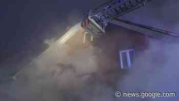 Zes katten en kanarie komen om bij woningbrand in Anderlecht - BRUZZ