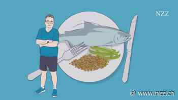 SERIE - «Ich nehme ab»: Wie Proteine beim Abnehmen helfen können – und das gleich doppelt