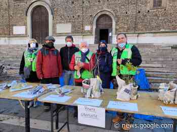 Faenza, distribuzione gratuita di piante. E Legambiente chiede ... - Corriere Romagna