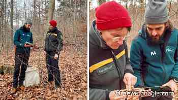 So könnten Eschen aus Ulm gegen das Eschensterben helfen - SWR Aktuell