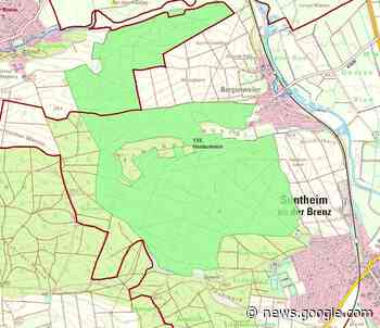 Pläne der Stadtwerke Ulm: Neue Windkraftanlagen im Wald bei ... - Heidenheimer Zeitung