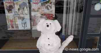 IN BEELD. Prachtige sneeuwtaferelen in Limburg, dierenwinkel ... - Het Laatste Nieuws