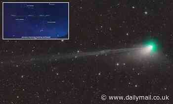 Green comet that will be visible in the night sky next month loses part of its TAIL