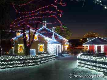 Weather freezes Alight at Night attendance - Gananoque Reporter