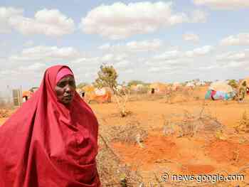 Somalia remains on cusp of famine - Gananoque Reporter