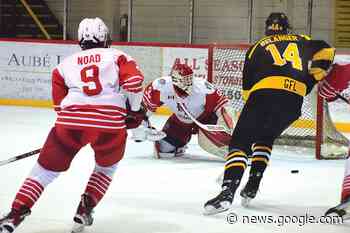 Wings lose close one to Eagles - Gananoque Reporter
