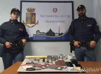 Roma, droga nella Capitale: controlli in tutta la città, 10 pusher ... - La Milano