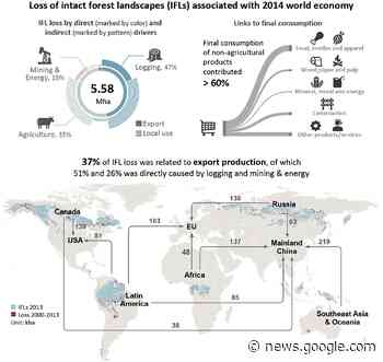 Beyond Agriculture: Our Forests Under Fierce Threat From Multiple ... - SciTechDaily