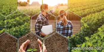 Agriculture Market Forecast: Top Trends That Will Affect Potash and Phosphate in 2023 - Investing News Network