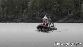 Young Humpback Whale rescued near Port Hardy - My Powell River Now
