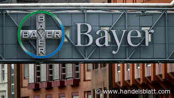 Hedgefonds-Strategien: Comeback der aktivistischen Aktionäre: Jeder zweite Manager erwartet mehr Einfluss der Fonds