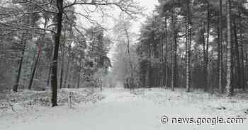 IN BEELD. Vosselaar ontwaakt onder een wit sneeuwtapijt - Het Laatste Nieuws