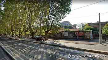 Potature su viale di Trastevere, rischio tilt per la viabilità