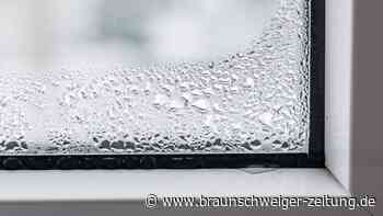 Hohe Luftfeuchtigkeit in der Wohnung – Das können Sie tun