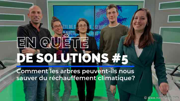 Comment les arbres peuvent-ils nous sauver du réchauffement climatique? C'est le thème de notre émission En quête de Solutions