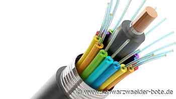 Bad Herrenalb: Wie kommt Anwohner an schnelleres Internet?