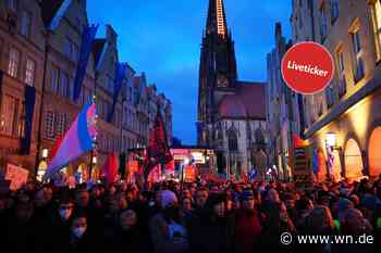 Polizei: 5000 protestieren gegen AfD-Neujahrsempfang