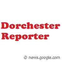 Early ed and childcare advocate considers run for District 3 ... - Dorchester Reporter